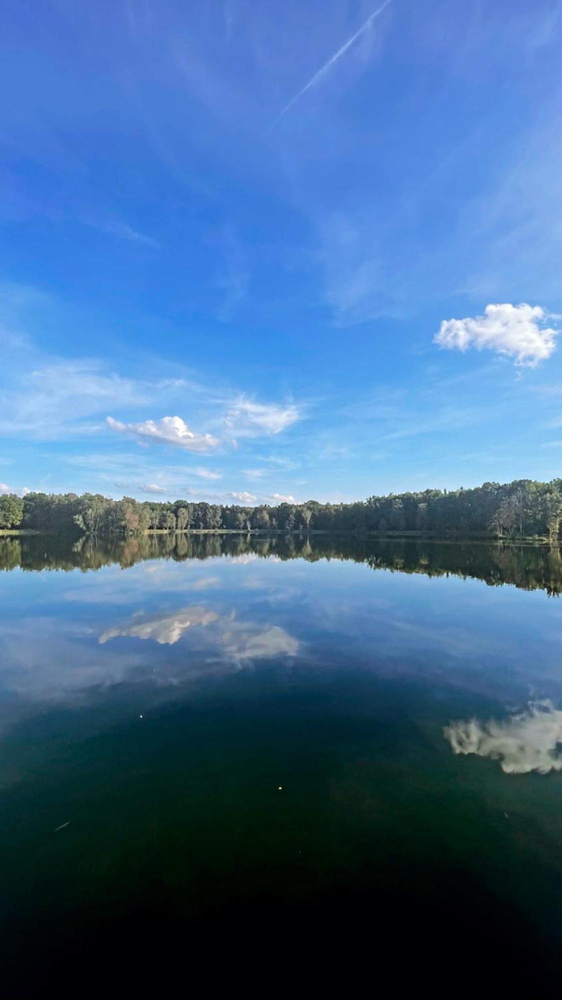 Boshuisje Pinus Sonnevijver Residences Lanaken Zewnętrze zdjęcie