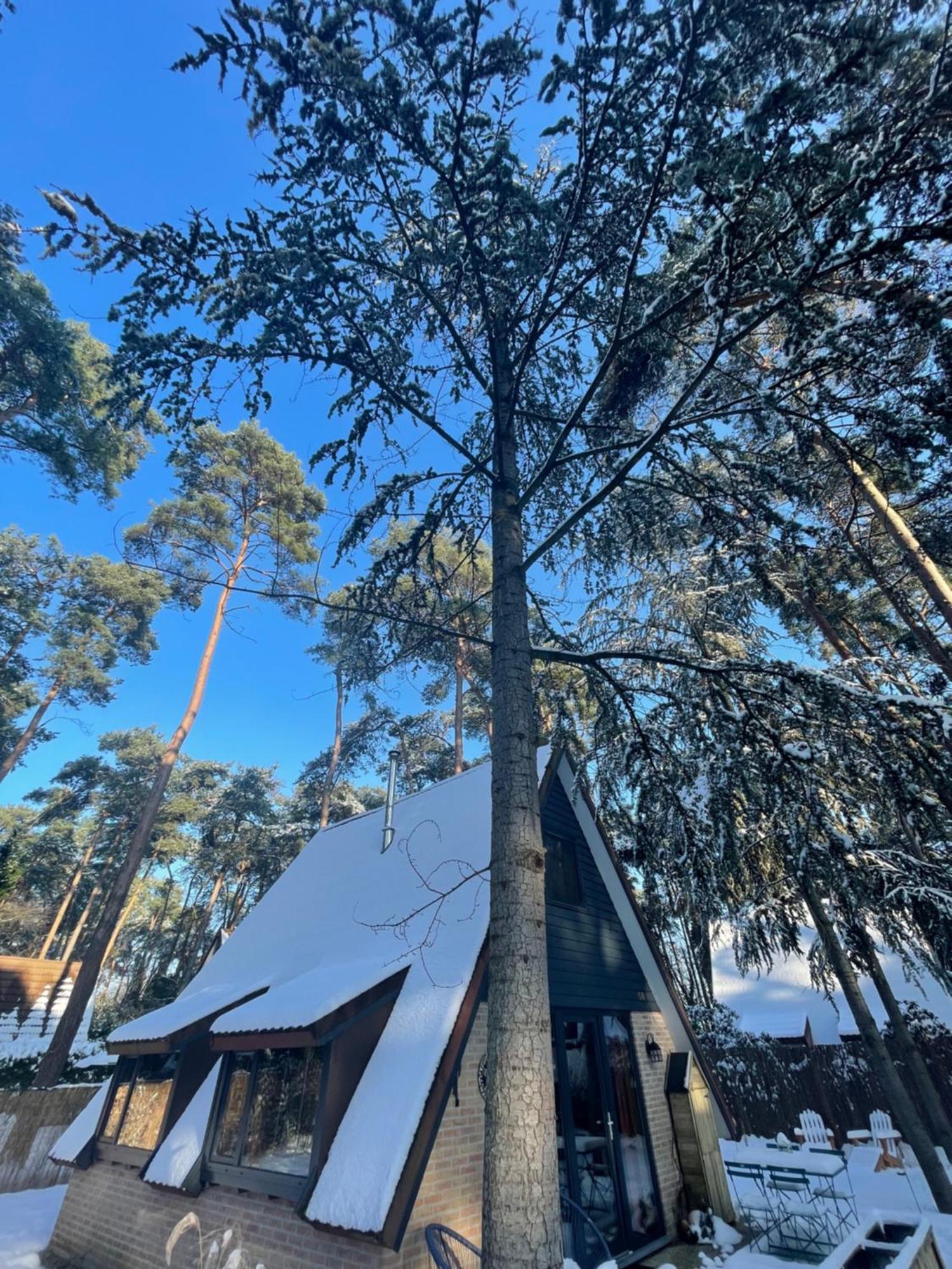 Boshuisje Pinus Sonnevijver Residences Lanaken Zewnętrze zdjęcie